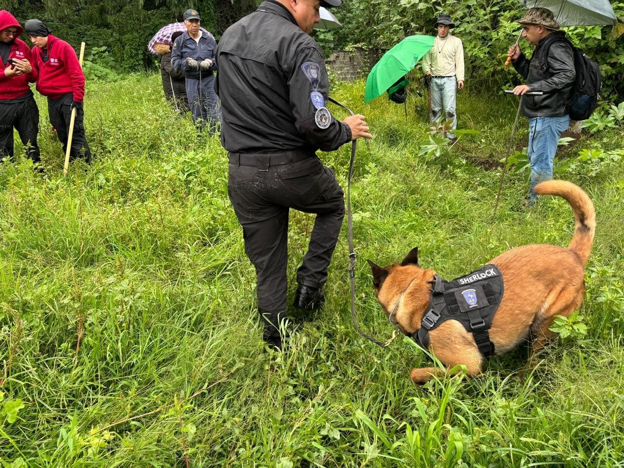 Brigada de búsqueda en campo con binomio canino