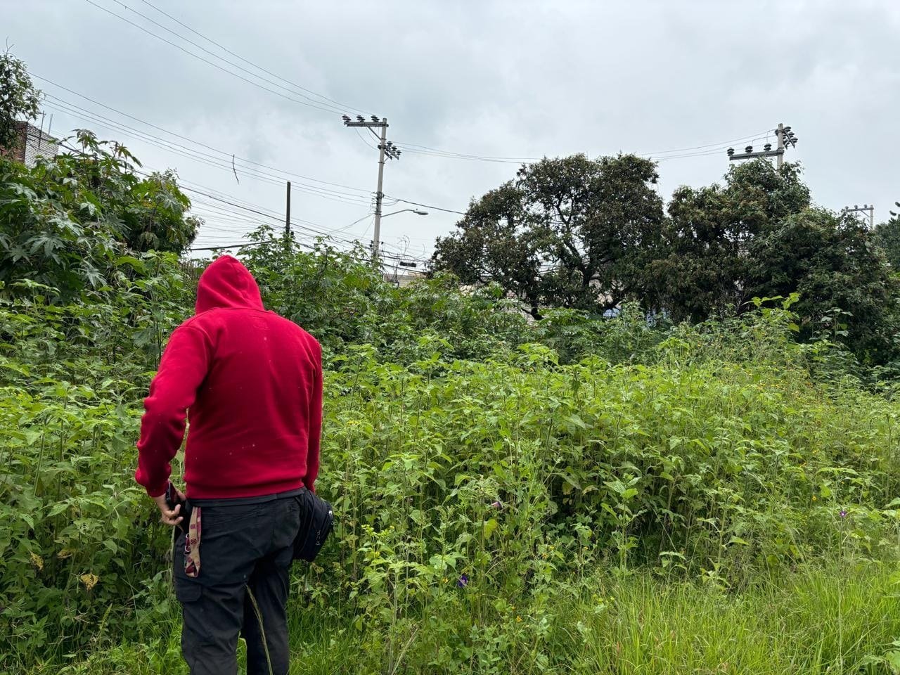 Integrante realizando un recorrido preventivo en una zona con vegetación